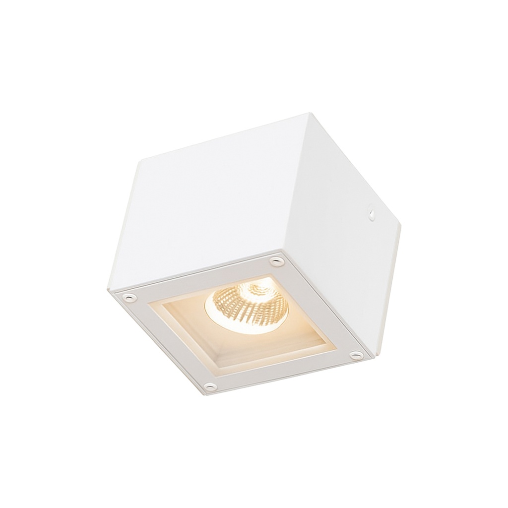 Outdoor Wall Light