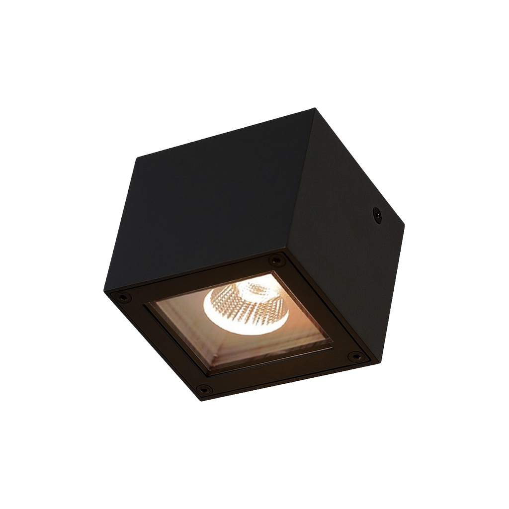 Outdoor Wall Light