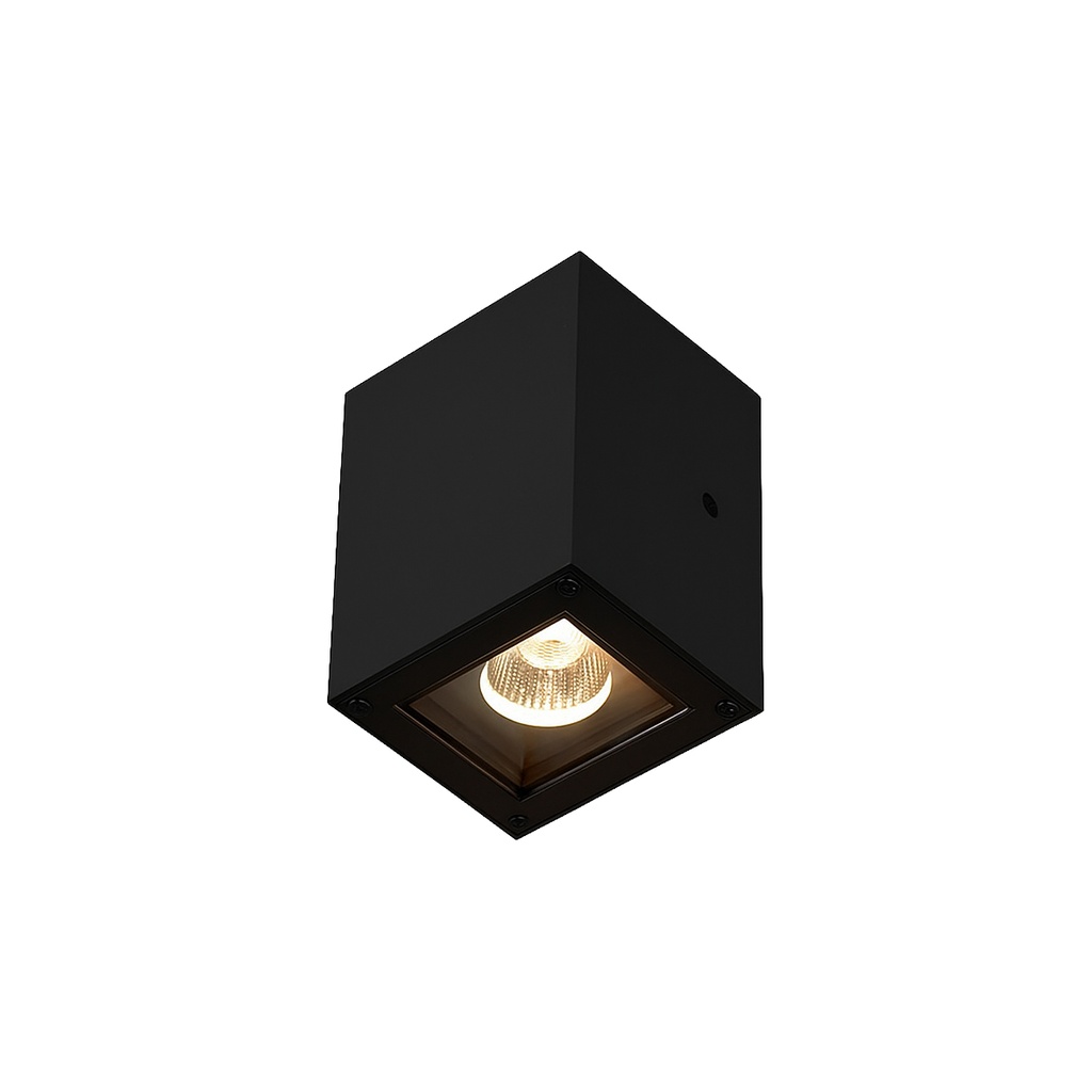 Outdoor Wall Light