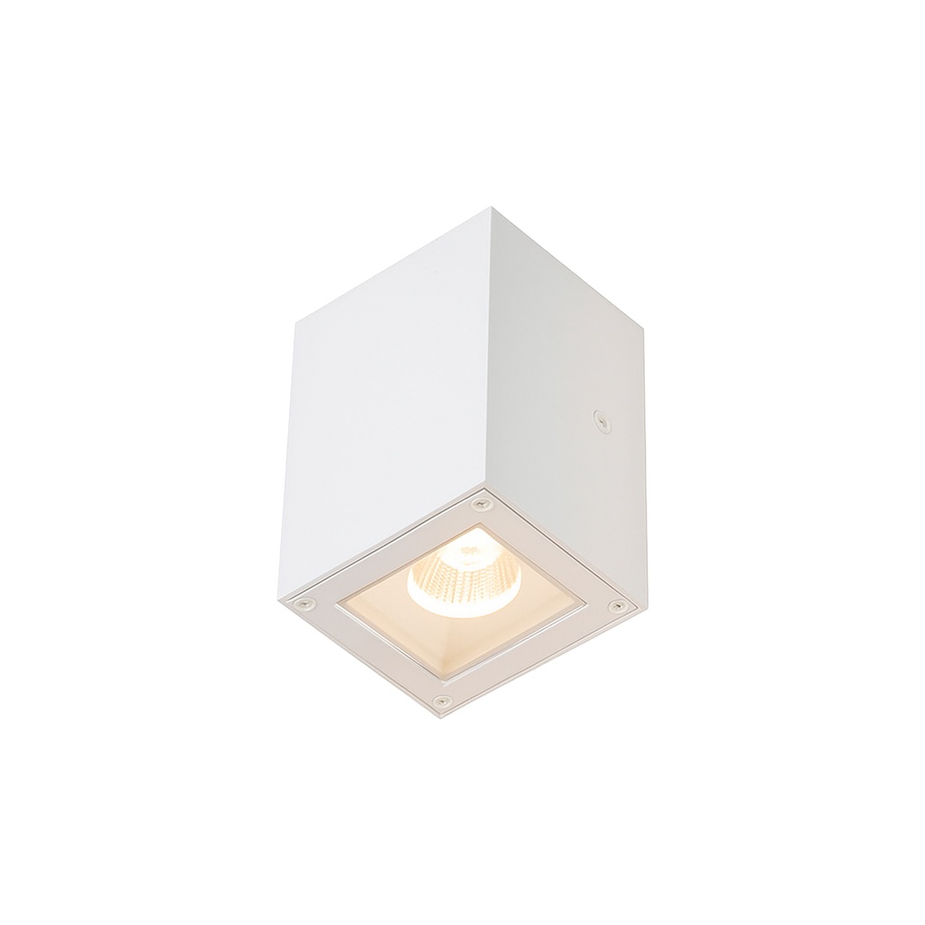 Outdoor Wall Light