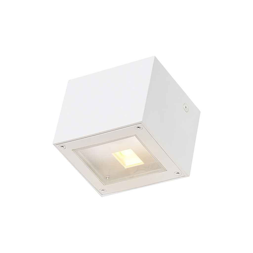 Outdoor Wall Light