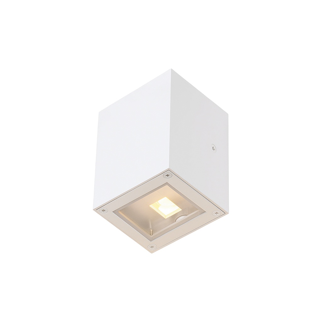 Outdoor Wall Light