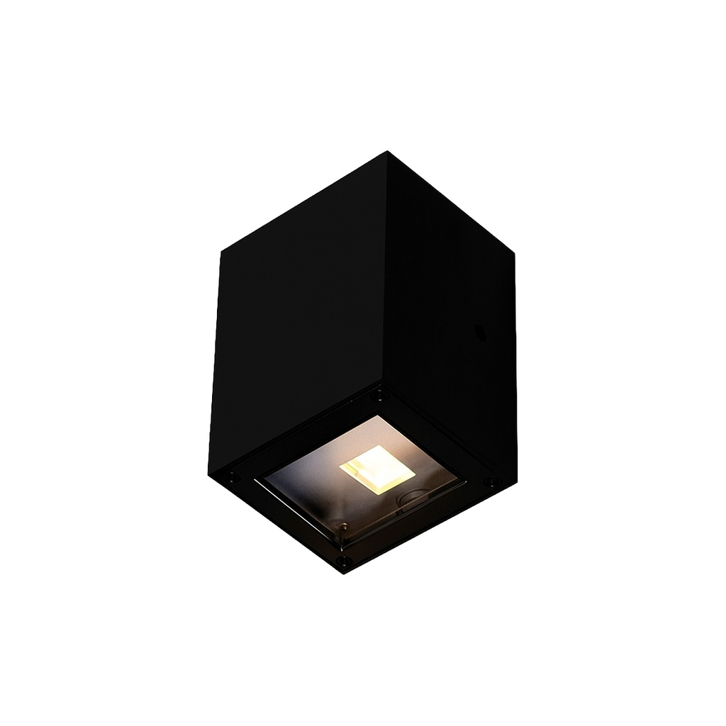 Outdoor Wall Light